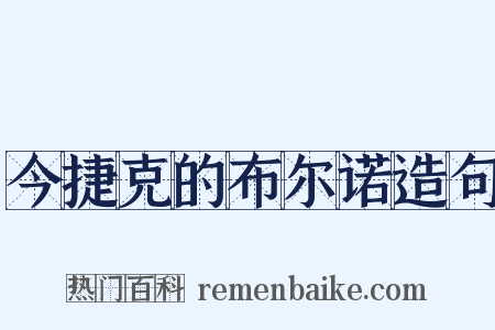 今捷克的布尔诺造句是什么意思的图片